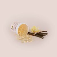 Product Image of Autoclave deodorant Anabac Natural, Vanilla, 50 capsules/PAK