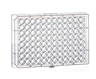 Greiner Bio-One Mikroplatte, 96 Well, PP, V-Boden, klar, steril, 10 x 10 St/Pkg