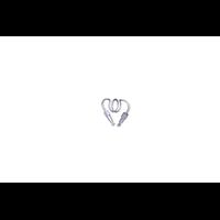 Sample Loop, Ext. Hypo Tip, 5 µL - ACQUITY M-Class µSM-FL