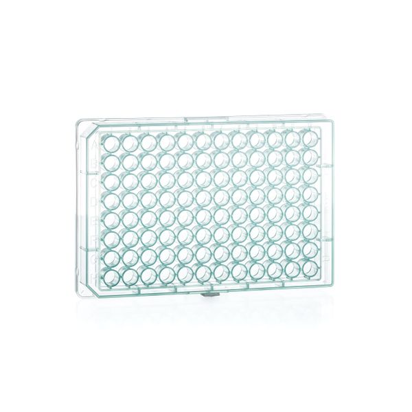Greiner Bio-One Mikroplatte, 96 Well, PP, U-Boden, Grün, 10 x 10 St/Pkg