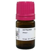 Product Image of DNase I, 500 mg