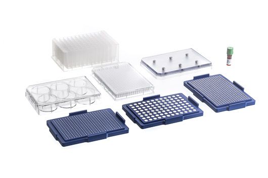 Greiner Bio-One 384 Well BiO Assay Kit: NanoShuttle -PL, Levitating, Spheroid & Holding Drive, Well Plate