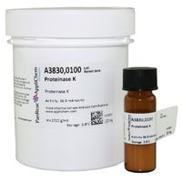 Product Image of Proteinase K, 100 mg