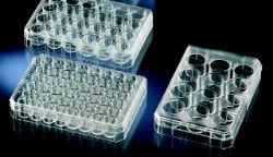 Nunc Thermo Scientific 12 well multidish, 2.0 ml/well, with UpCell surface, lid, sterile PU=6 pcs., 6 pc/PAK