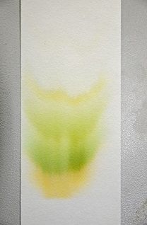 Hahnemühle Chromatographiepapiere, Sorte 2043A, analytisch, mittelschnell, 90 g/qm, 580 x 600 mm, 100 Bogen/Pkg
