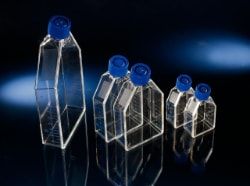 Nunc Thermo Scientific Zellkulturflaschen, EasYFlask, 75 cm², mit Collagen-Beschichtung, mit Filterkappen, steril, 30 St/Pkg