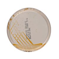 Product Image of Plate-Count-Agar (APHA) zur Gesamtkeimzahlbestimmung, 10 St/Pkg