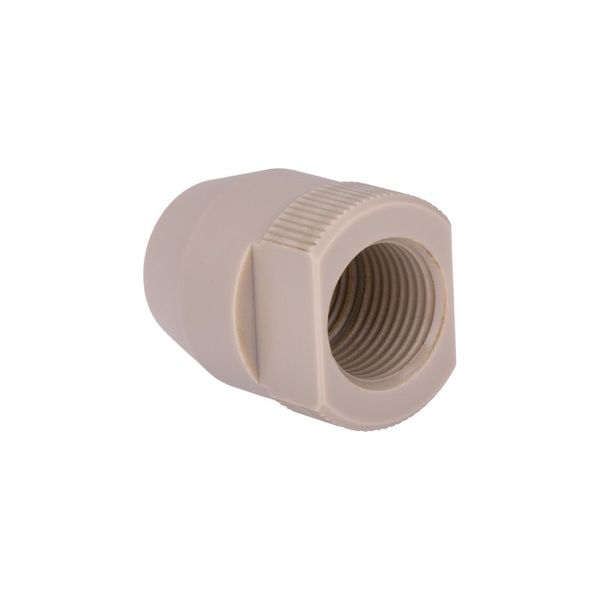 Microsolv Packungs-Adapter für 7,5 mm All-PEEK-Säulen, 5/8''-18, 5 pc/PAK