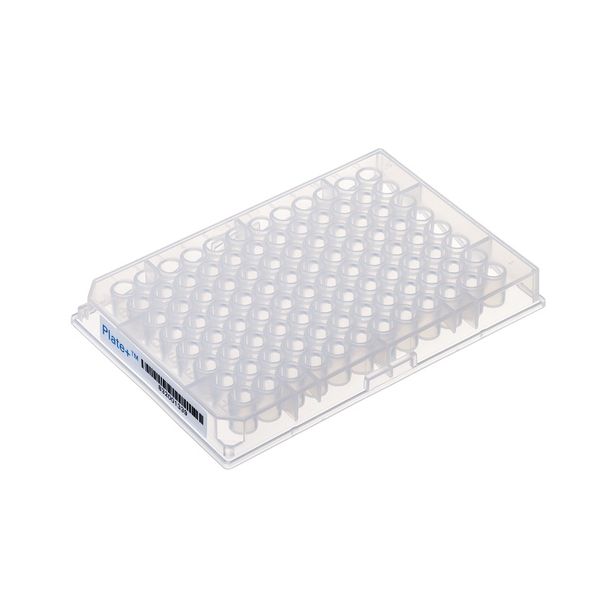 Thermo Fisher Scientific Webseal 96 Deepwell-Platte, PP, glasbeschichtet, Flachboden, 7 x 146 mm, 370 μl, 10 St/Pkg
