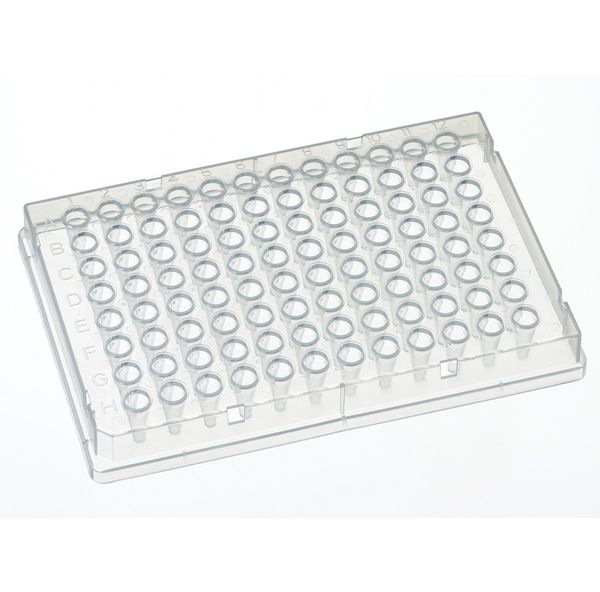Thermo Fisher Scientific WebSeal 96-well microtiter plates, low volume, PP, clear, 5.6 mm, V-bottom, 100 μl, 50 pc/PAK