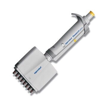 Eppendorf EP Research plus, 8-Kanalpipette, variabel, 10 - 100 μl, gelb
