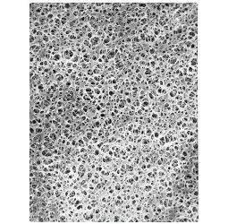 Pall Corporation Membranfilter, rund, Versapor, PA, 142 mm, 3,00 μm, 25/Pak