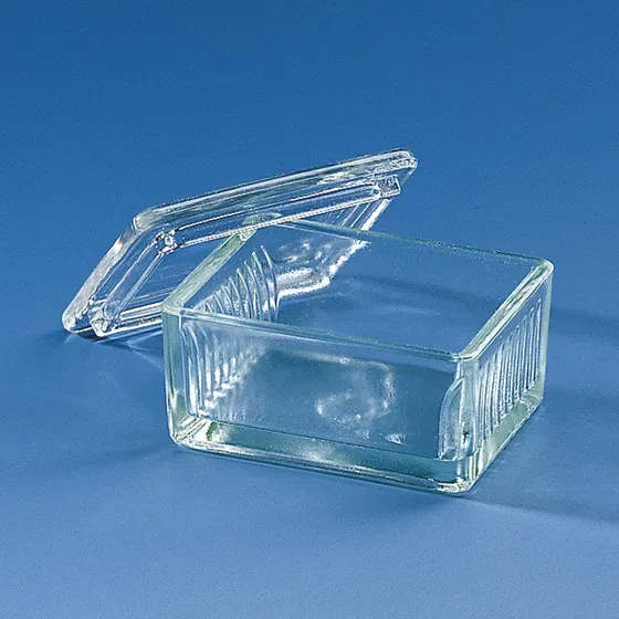 Brand GmbH & Co. KG Staining jar, soda-lime glass, Schiefferdecker type, with lid, for 10 slides 76 x 26 mm, 10 pc/PAK