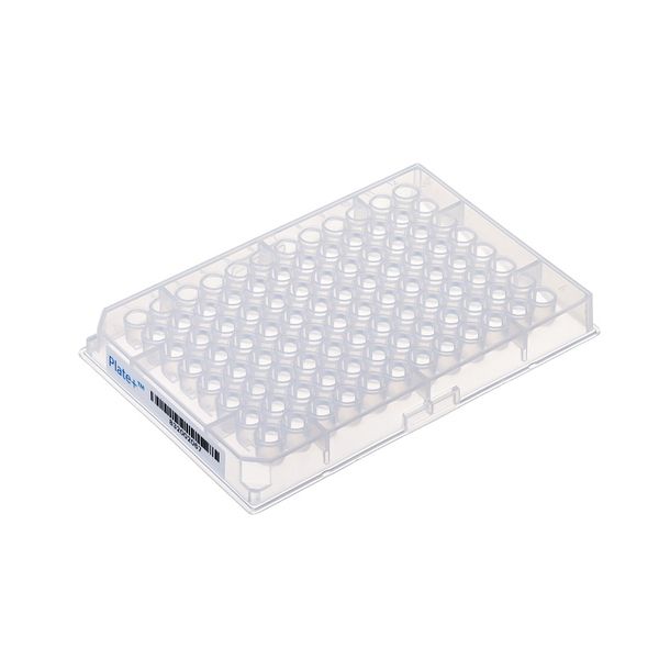 Thermo Fisher Scientific Webseal 96 Deepwell Plate, PP, glass coated, V-Base, 7 x 146 mm, 220 μl, 10 pc/PAK
