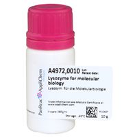 Product Image of Lysozyme Molecular Biology grade,10 g