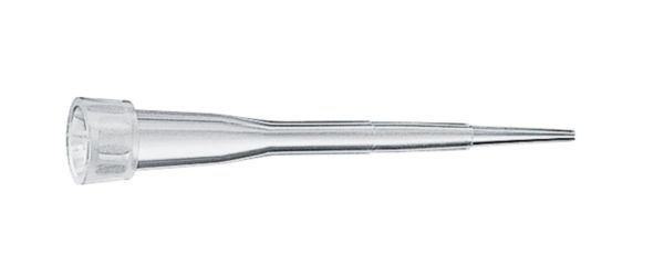 Eppendorf epTIPS Standard Pipettenspitzen 0,1-10μl (VE=1000 St.)