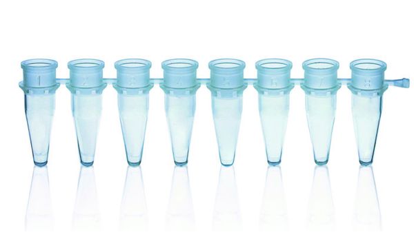 Brand GmbH & Co. KG PCR-Strips, PP, 0,2 ml, 8er, blau, ohne Deckel, BIO-CERT PCR-Q, 125 St/Pkg