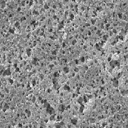 Millipore Membranfilter, rund, PA, 25 mm, 1,20 μm, 100/Pak