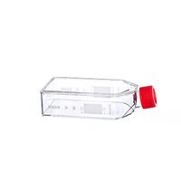 Product Image of Cell Culture Bottle, 50 ml, PS, 25 cm2, CELLCOAT®, Fibronektin, with Filter-Screw Cap red, 10 pc/PAK