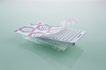 Eppendorf twin.tec real-time PCR Plate 96, semi-skirted, 250 μl, weiß, Forensic DNA Grade, 10 St/Pkg, einzeln verpackt