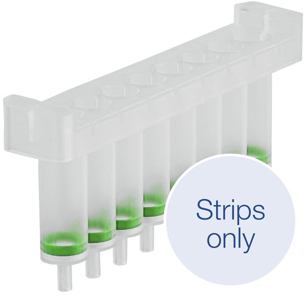 Macherey-Nagel NucleoSpin Tissue Strips, 8-well strips for the isolation of genomic DNA from tissue and cells, 60 pc/PAK