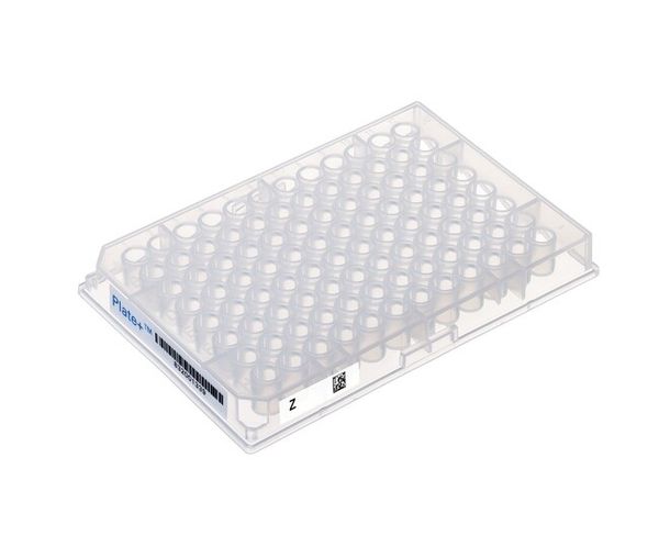 Thermo Fisher Scientific Plate+ 96-Well-Platte, 8 mm quadratische Vertiefung, V-Boden, 2 ml Gesamtvolumen, glasbeschichtetes PP, mit Barcode, 10 St/