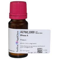 Product Image of RNase A, 1 g