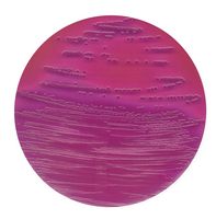 Merck VRB-Agar für die Mikrobiologie Fluorocult, 500 g