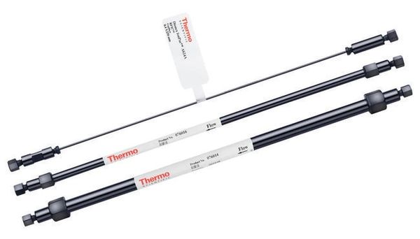 Dionex IonPac AS10 Trennsäule, 4 x 250 mm