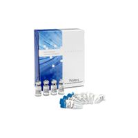 Product Image of GlycoWorks Rapid Deglycosylation Kit - 4x24