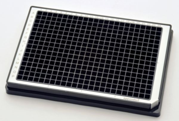 Eppendorf Microplate 384/V-PP, schwarze Wells Umrandungsfarbe weiß, PCR clean