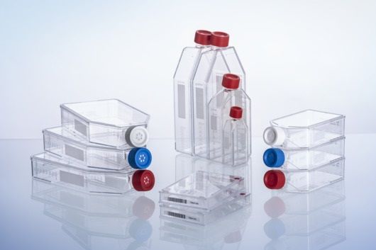 Greiner Bio-One Zellkultur Flasche, 250 ml, 75 cm², PS, Cellcoat , Poly-L-Lysin, Filter-Schraubverschluss, 50 St/Pkg