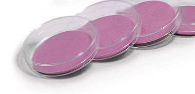 Sartorius Nutrient Pad Sets, Endo & High Flow Membrane, white-green, 0.45μm, 47mm, 100/PAK