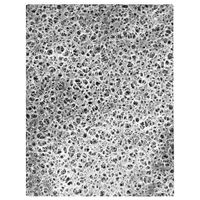 Product Image of Membranfilter, rund, Versapor, PA, 293 mm, 0,45 µm, 25/Pak