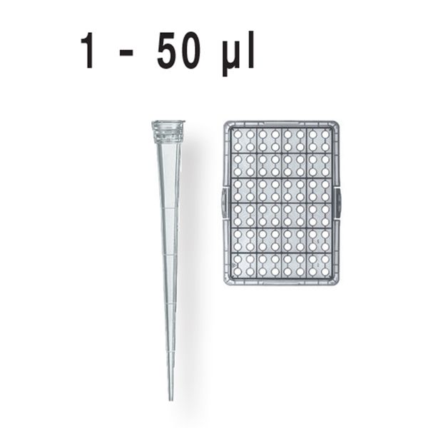 Brand GmbH & Co. KG Pipette tips, bulk packed, in bags, XXL, 1 - 50 μl, PP, colorless, Cert. LS-Q, non-sterile, 10 x 1000 pc/PAK