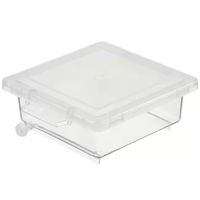 Product Image of Gel staining box, PCTG, 12.5 x 12.5 x 5 cm
