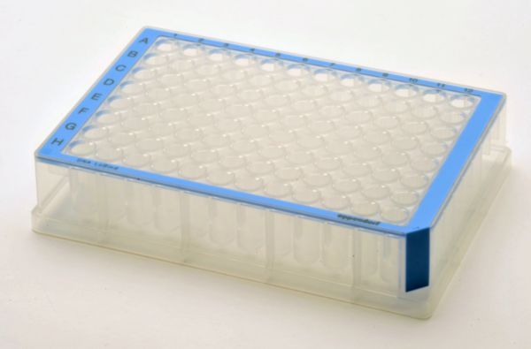 Eppendorf Deepwell plate 96/500 μl, DNA LoBind, PCR clean, blue, 40 pcs.