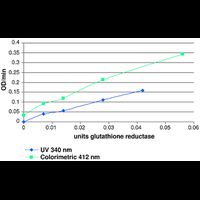 GLUTATHIONE REDUCTASE COLORIMETRIC ASSAY KIT