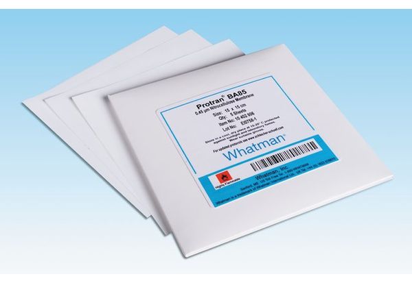Whatman Membranfilter, rund, Protran BA85, CN, 132 mm, 0,45 μm, Löschmembran, 50 St/Pkg