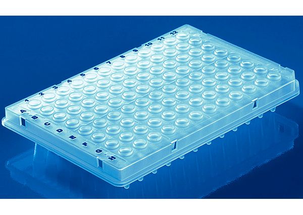 Brand GmbH & Co. KG PCR-Platte 96-well, PP, halber Rahmen, Standard, well-Rand erhöht, 0,2 ml, transparent, BIO-CERT PCR-Q, 50 St/Pkg