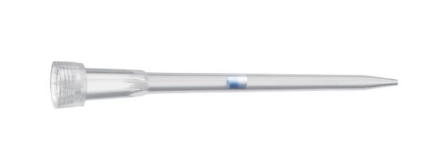 Eppendorf Filterspitzen ep Dualfilter T.I.P.S. PCR clean und steril, 0,5 – 20 μl, l, 46 mm, hellgrau, 10 x 96 St/Pkg