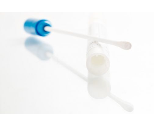 Gold Standard Diagnostics Path-Chek Abstrichtupfer, 100 St/Pkg