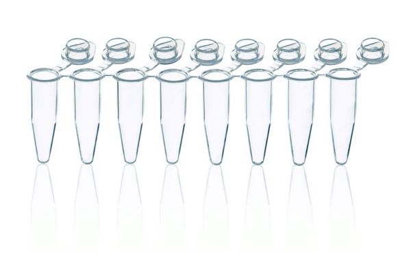 Brand GmbH & Co. KG pcR-Strips, PP, 0,2 ml, 8er, cap, for q pcR, 120 pc/PAK