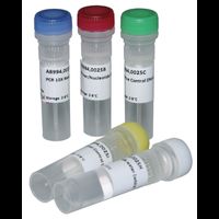 PCR Mycoplasmen - Testkit II, 25 Tests