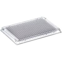 Product Image of 384 WELL PLATE, SQUAREV BASE, 145uL, PP 10/PK