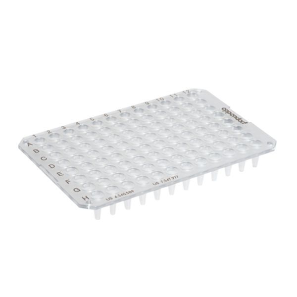 Eppendorf twin.tec PCR-Platte 96, ohne Rand, niedriges Profil, klar, 20 Stk.