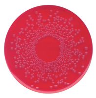 Merck BPLS-Agar modifiziert Brillantgrün-Phenolrot-Lactose-Saccharose-Agar modifiziert, 500 g, für die Mikrobiologie