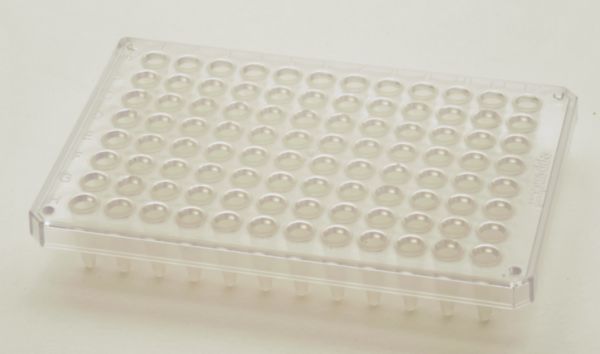 Eppendorf twin.tec PCR Plate 96, semi- skirted, (Wells farblos) farblos, 300 Stück