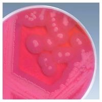 Product Image of Myp Agar, 500 g