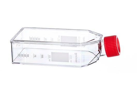 Greiner Bio-One Cell culture-flask, PS, 250 ml, red filter screw cap, clear, cellstar TC, sterile, 24x5/PAK